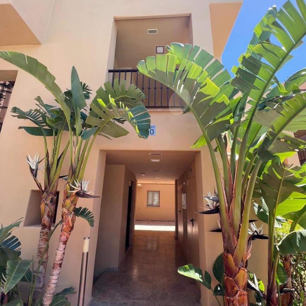 2 bedroom Penthouse for rent in Benahavis with pool garage - € 2,500 (Ref: 9835079)