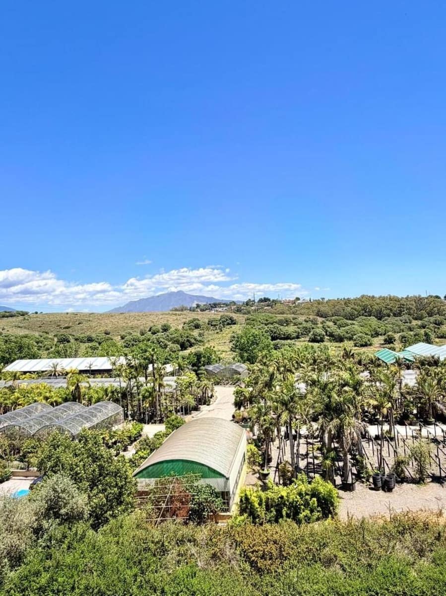 3 Zimmer Penthouse zu verkaufen in Bel-Air mit Pool Garage - 549.000 € (Ref: 9889667)