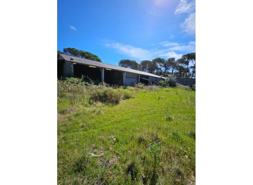 Grunde uden byggetilladelser til salg i Platja d'Aro - € 700.000 (Ref: 8870066)