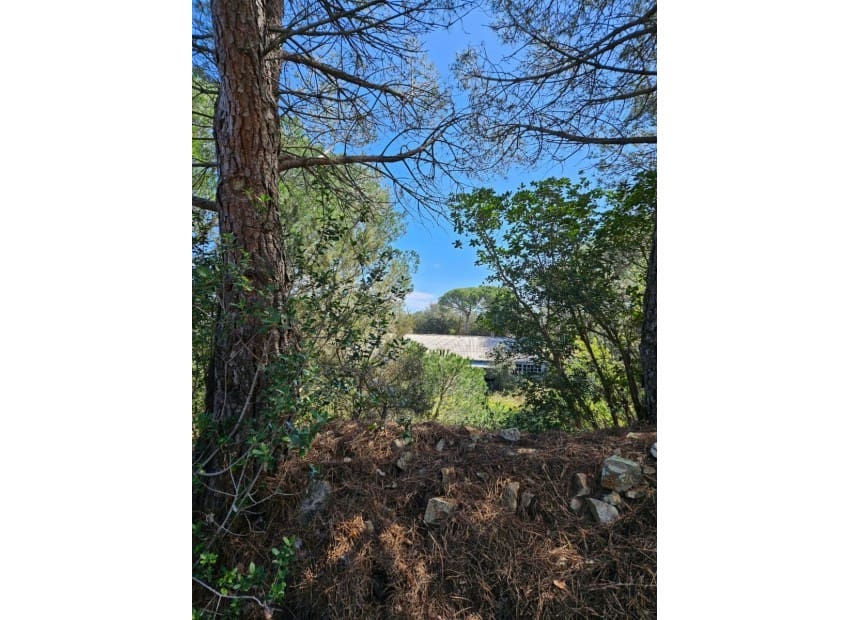 Grunde uden byggetilladelser til salg i Platja d'Aro - € 700.000 (Ref: 8870066)