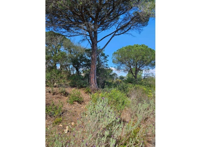 Grunde uden byggetilladelser til salg i Platja d'Aro - € 700.000 (Ref: 8870066)