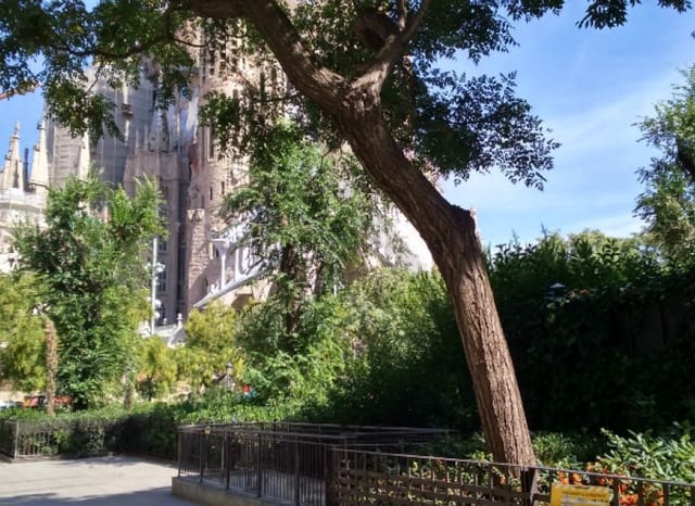 Piso de 1 habitación en Barcelona ciudad en venta - 321.000 € (Ref: 8870080)