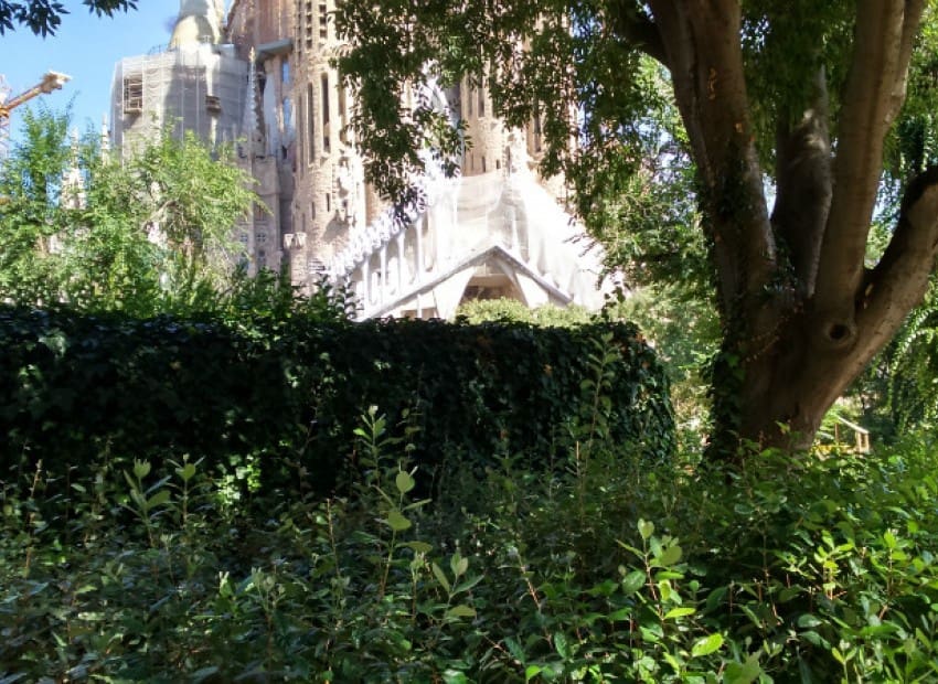 1 Zimmer Wohnung zu verkaufen in Barcelona Stadt - 321.000 € (Ref: 8870080)