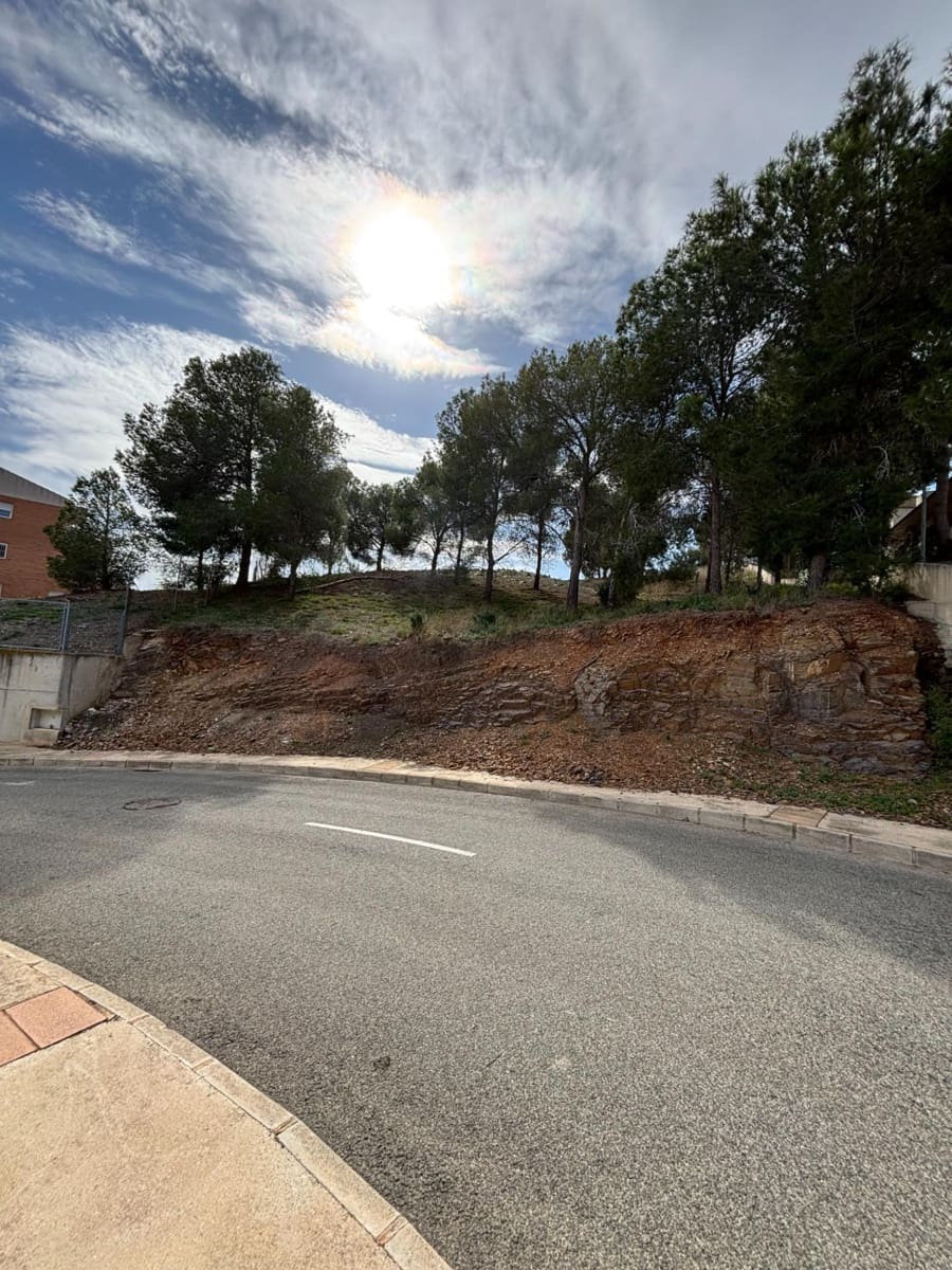 Building Plot for sale in Murcia city - € 250,000 (Ref: 9613978)