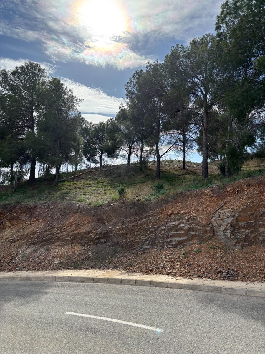 Building Plot for sale in Murcia city - € 250,000 (Ref: 9613978)