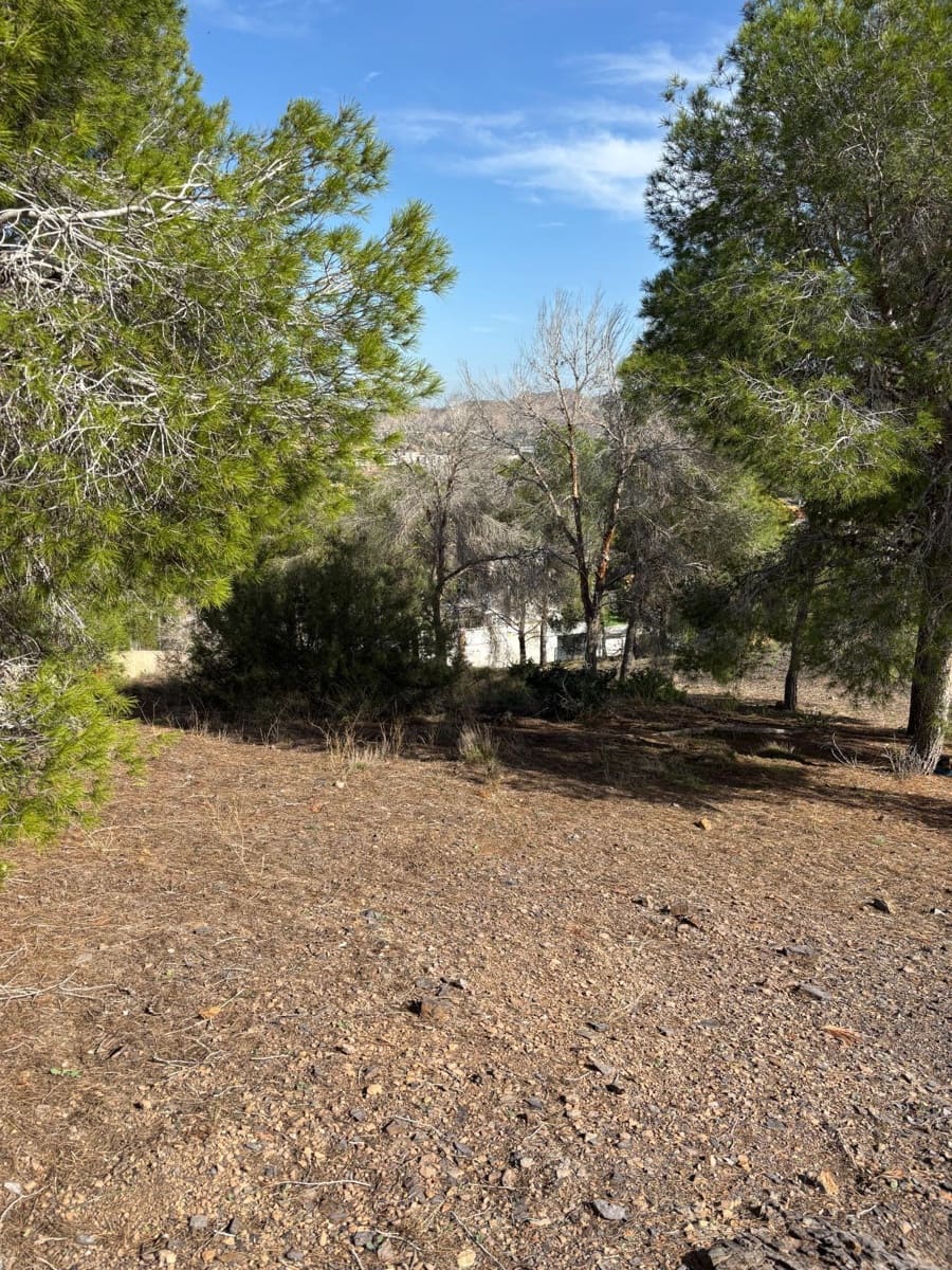 Building Plot for sale in Murcia city - € 250,000 (Ref: 9613978)