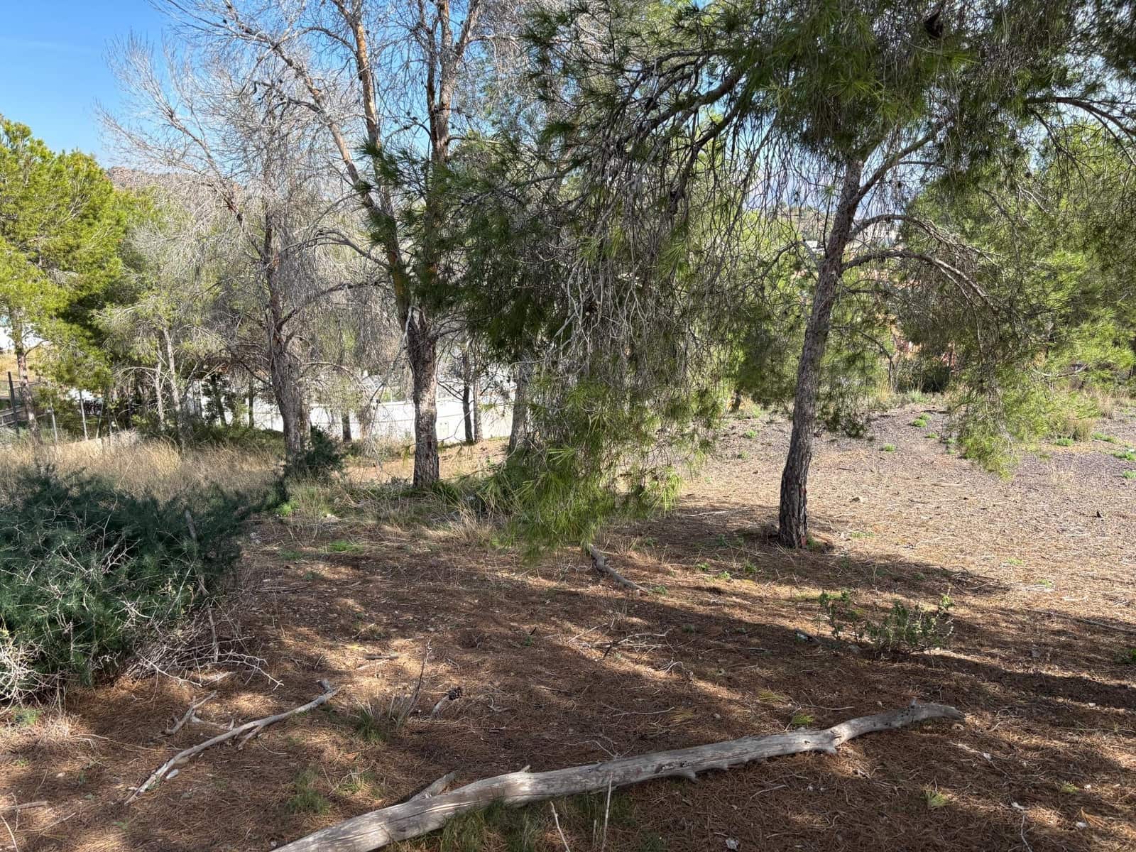 Building Plot for sale in Murcia city - € 250,000 (Ref: 9613978)