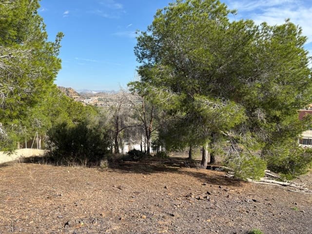 Building Plot for sale in Murcia city - € 250,000 (Ref: 9613978)