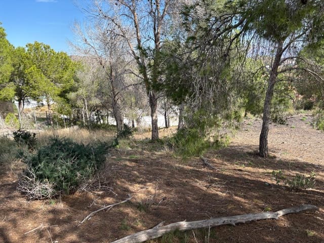 Building Plot for sale in Murcia city - € 250,000 (Ref: 9613978)