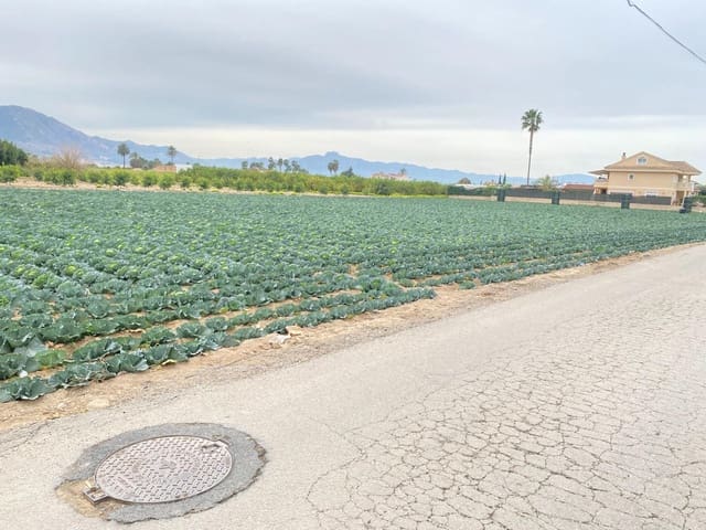 Tomt till salu i El Raal, Murcia stad - 90 000 € (Ref: 9613981)