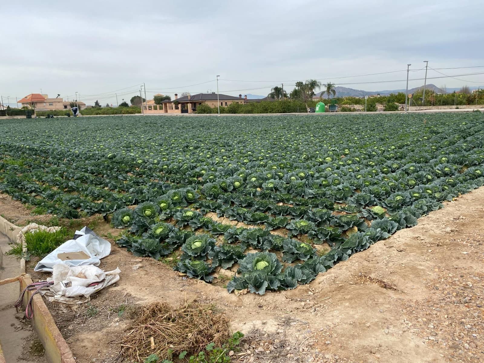 Bouwgrond te koop in El Raal - € 90.000 (Ref: 9613981)