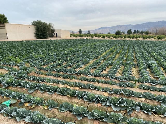 Tomt till salu i El Raal, Murcia stad - 90 000 € (Ref: 9613981)