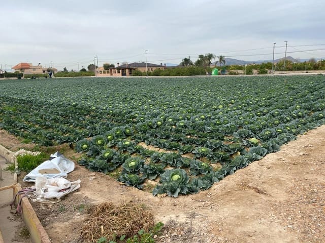 Tomt till salu i El Raal, Murcia stad - 90 000 € (Ref: 9613981)