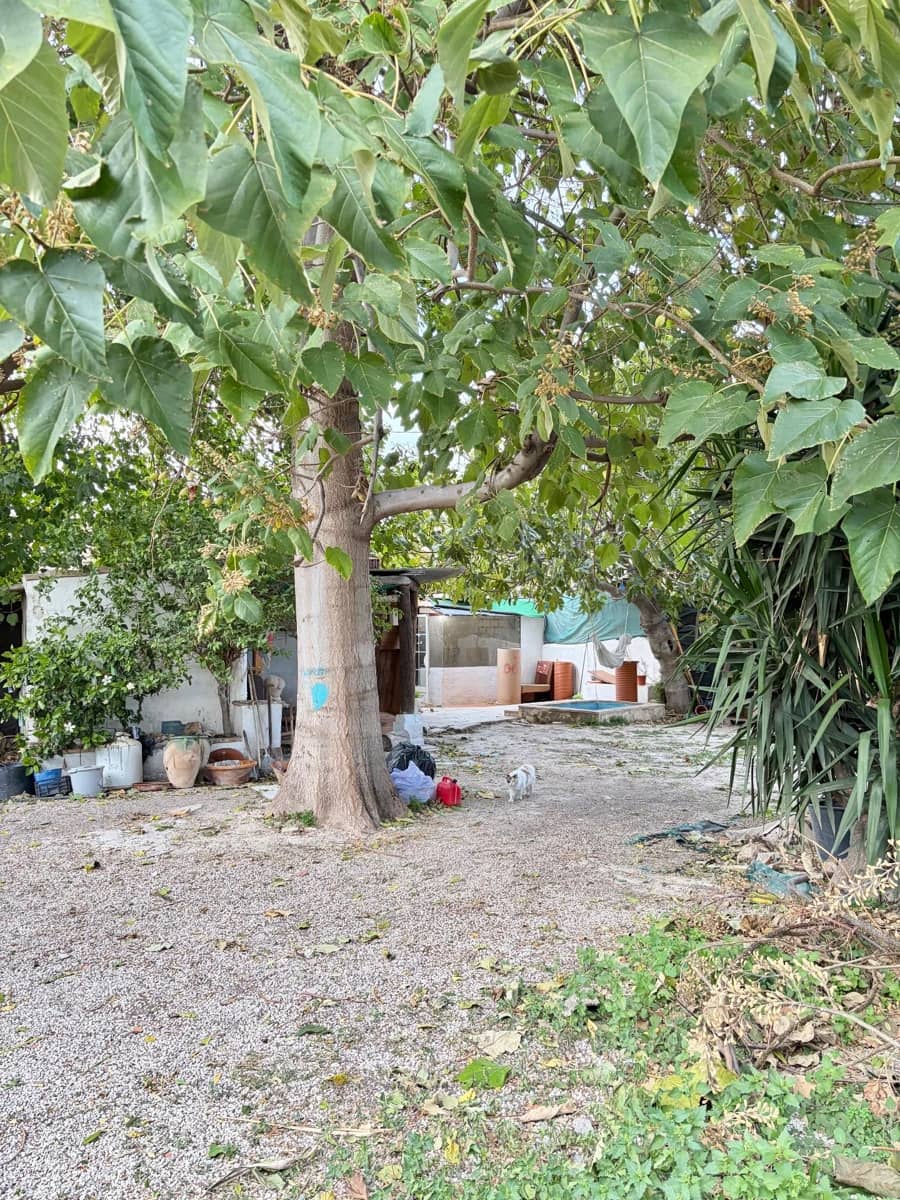 3 slaapkamer Finca/Landhuis te koop in Beniajan - € 95.000 (Ref: 9613989)