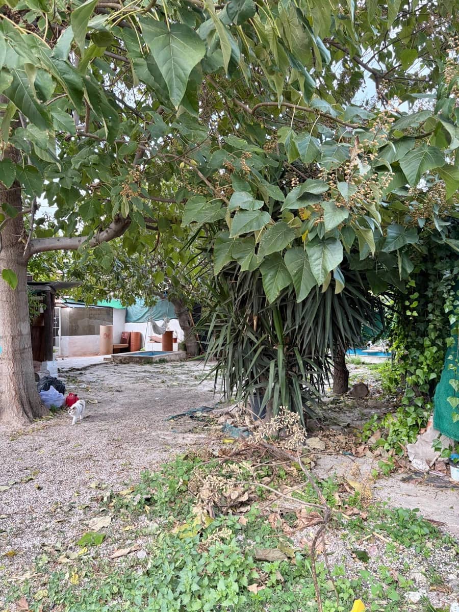 3 slaapkamer Finca/Landhuis te koop in Beniajan - € 95.000 (Ref: 9613989)