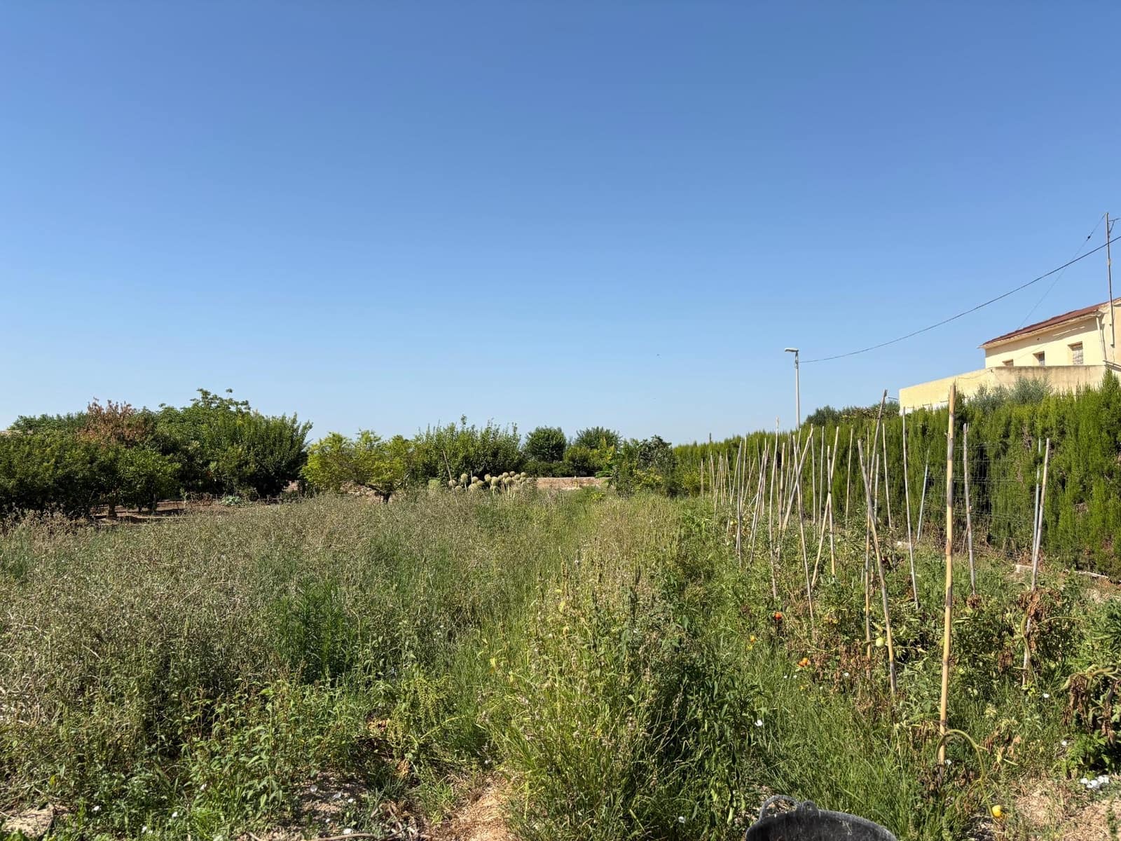 Bouwgrond te koop in El Esparragal - € 52.000 (Ref: 9613990)