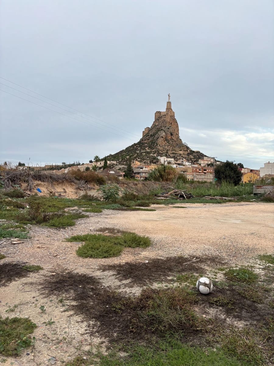 Finca/Casa Rural en Monteagudo en venta - 199.000 € (Ref: 9613997)