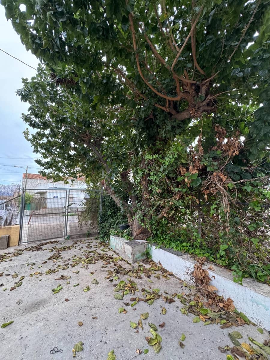 Finca/Casa Rural en Monteagudo en venta - 199.000 € (Ref: 9613997)