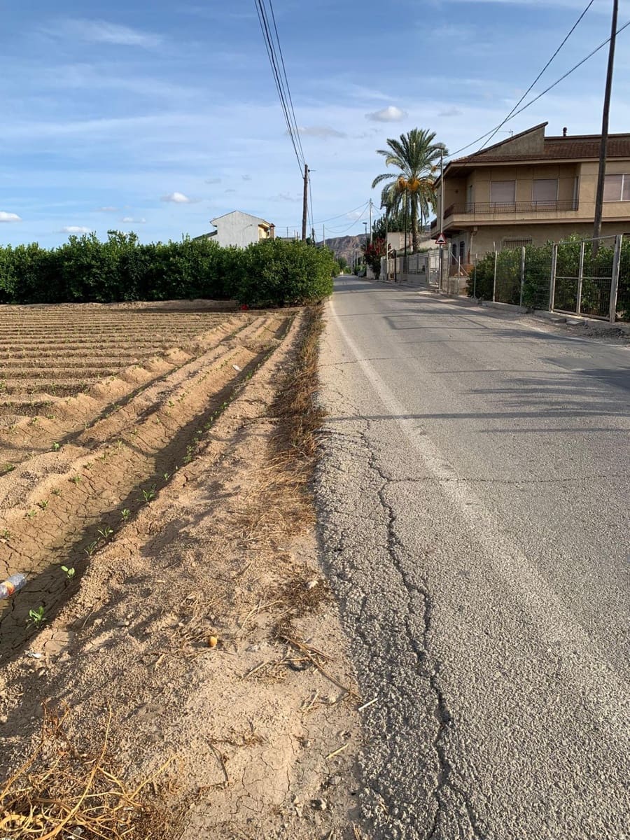 Mark till salu i Santa Cruz - 55 000 € (Ref: 9613999)