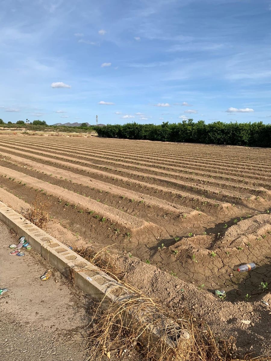 Mark till salu i Santa Cruz - 55 000 € (Ref: 9613999)