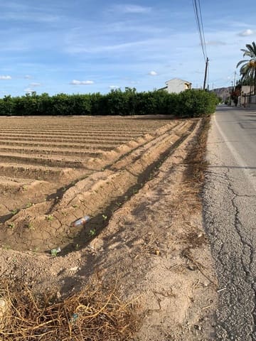 Mark till salu i Santa Cruz, Murcia stad - 55 000 € (Ref: 9613999)