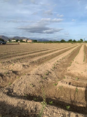 Mark till salu i Santa Cruz, Murcia stad - 55 000 € (Ref: 9613999)