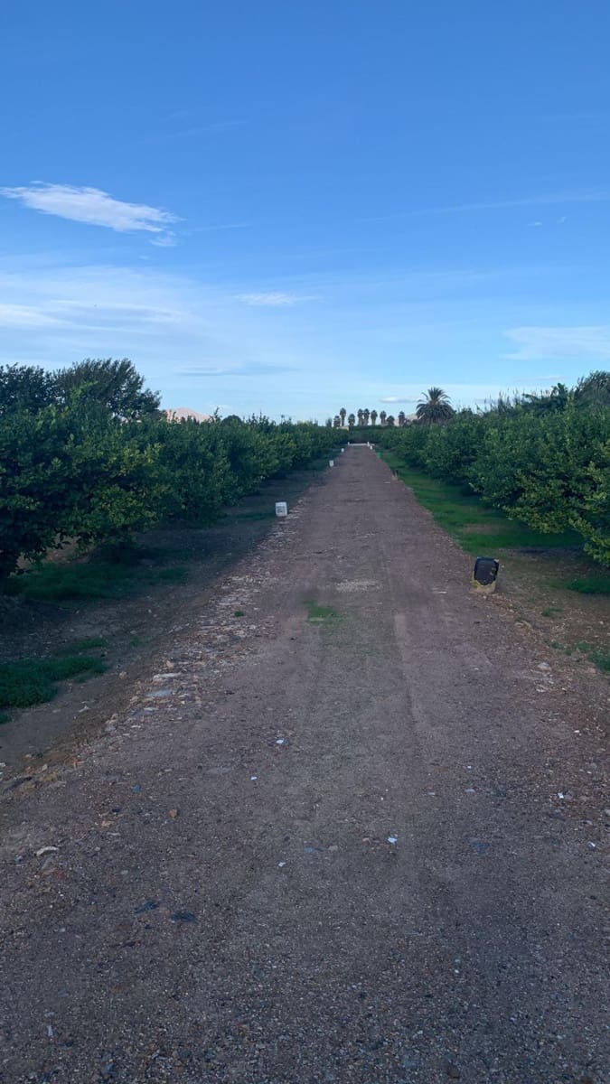 Undeveloped Land for sale in Los Ramos - € 57,000 (Ref: 9614007)