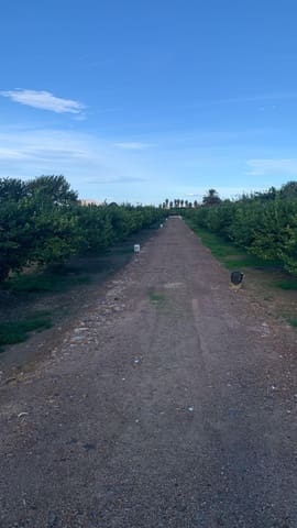 Undeveloped Land for sale in Los Ramos, Murcia city - € 57,000 (Ref: 9614007)