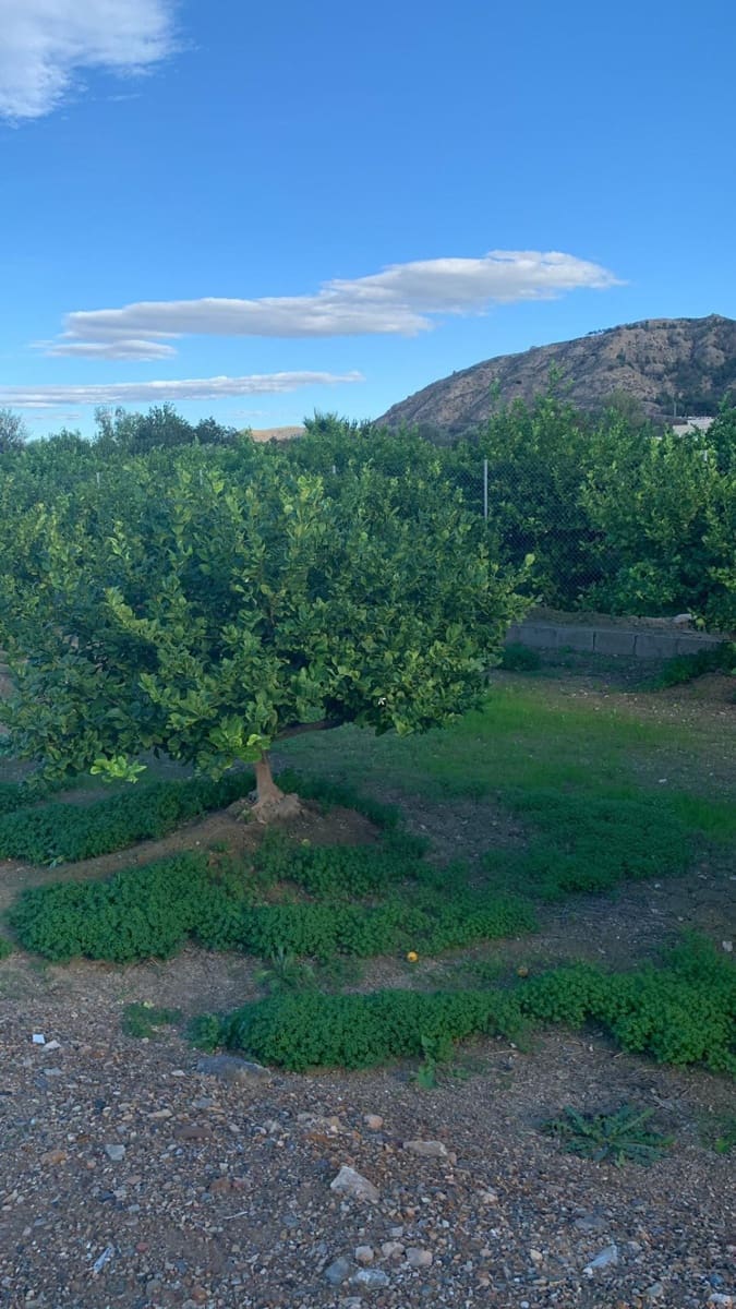 Undeveloped Land for sale in Los Ramos - € 57,000 (Ref: 9614007)