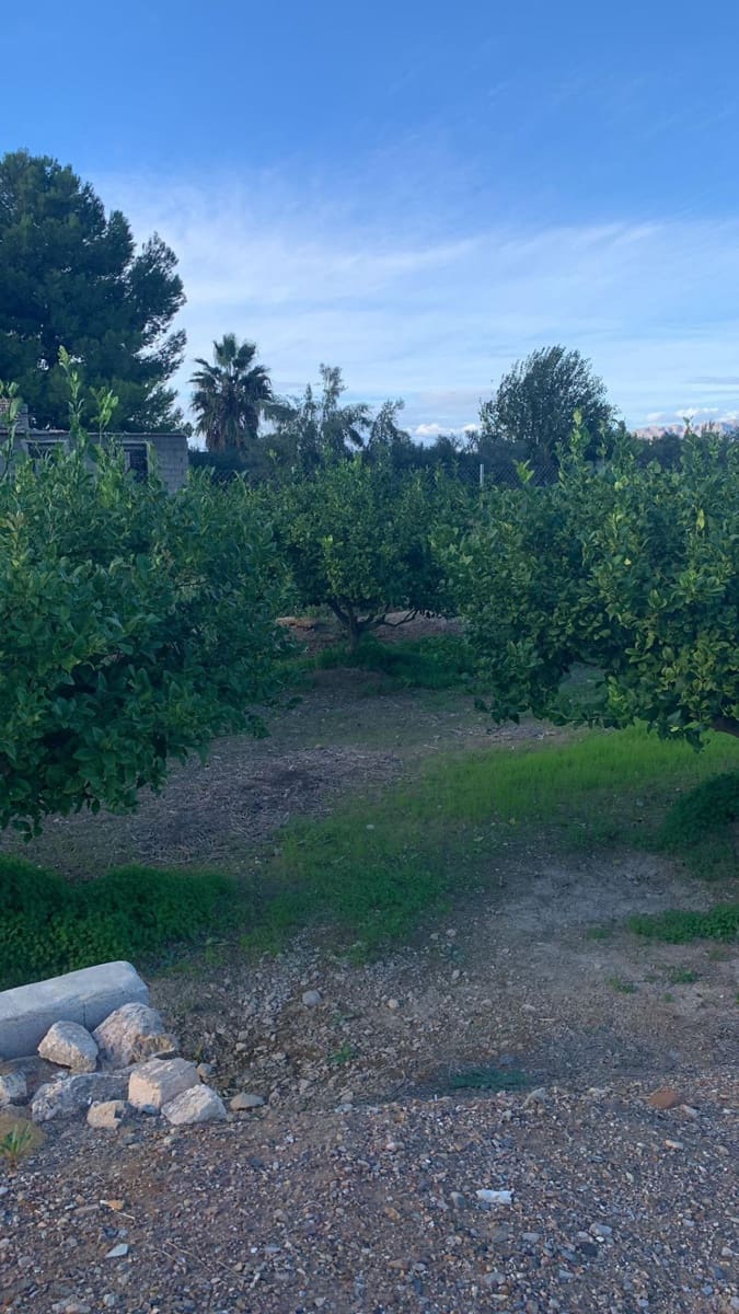 Undeveloped Land for sale in Los Ramos - € 57,000 (Ref: 9614007)