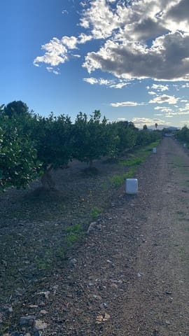 Undeveloped Land for sale in Los Ramos, Murcia city - € 57,000 (Ref: 9614007)