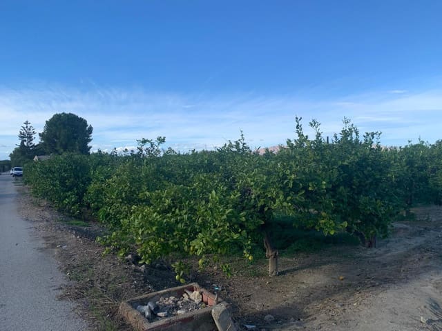 Undeveloped Land for sale in Los Ramos, Murcia city - € 57,000 (Ref: 9614007)