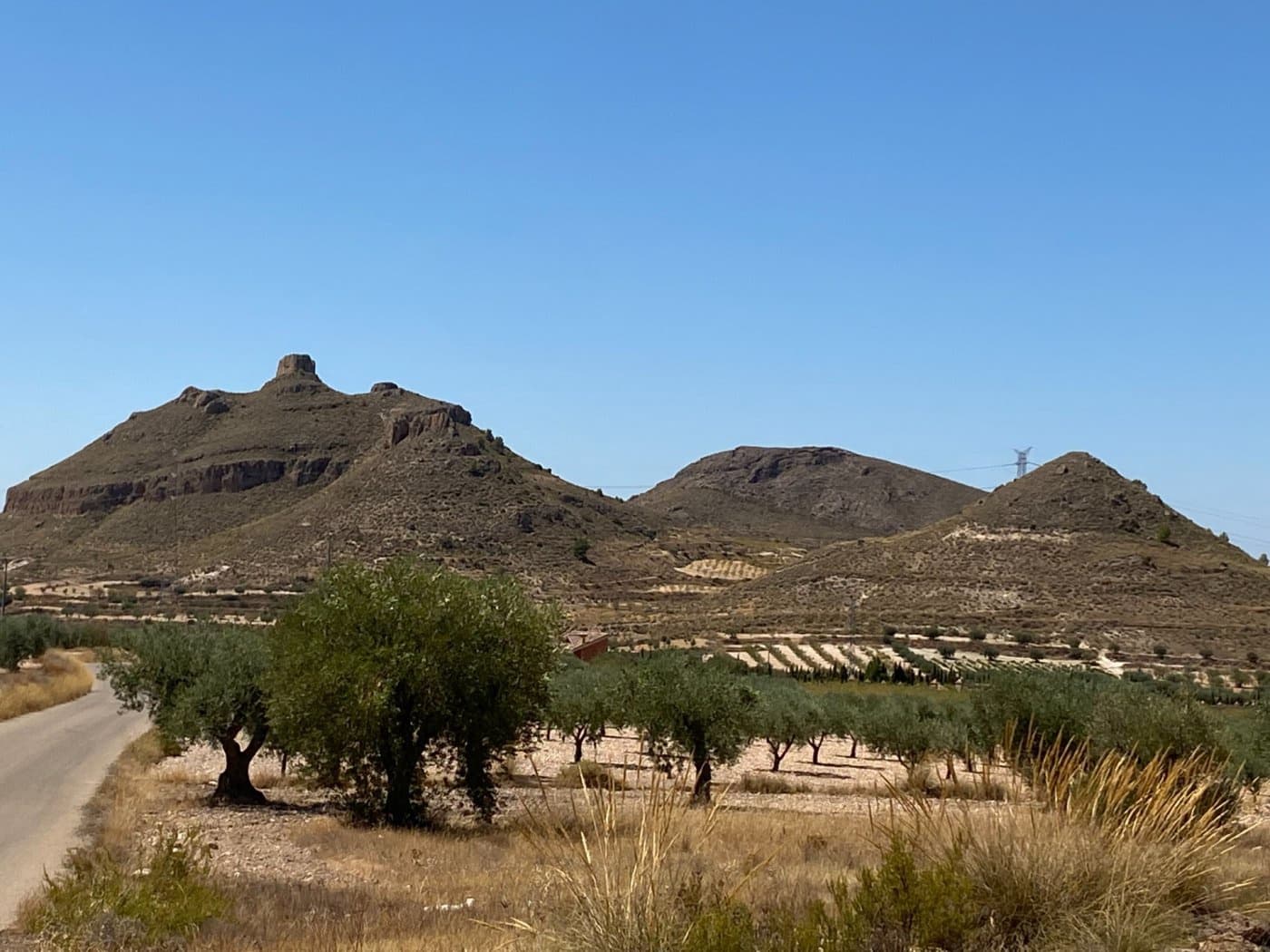 Terreno/Finca Rústica en Jumilla en venta - 16.000 € (Ref: 9614014)
