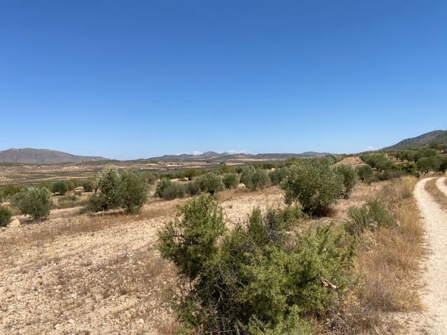 Terreno/Finca Rústica en Jumilla en venta - 16.000 € (Ref: 9614014)