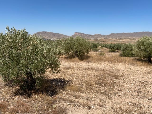 Terreno/Finca Rústica en Jumilla en venta - 16.000 € (Ref: 9614014)