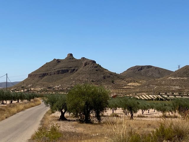 Grunde uden byggetilladelser til salg i Jumilla - € 25.000 (Ref: 9614015)