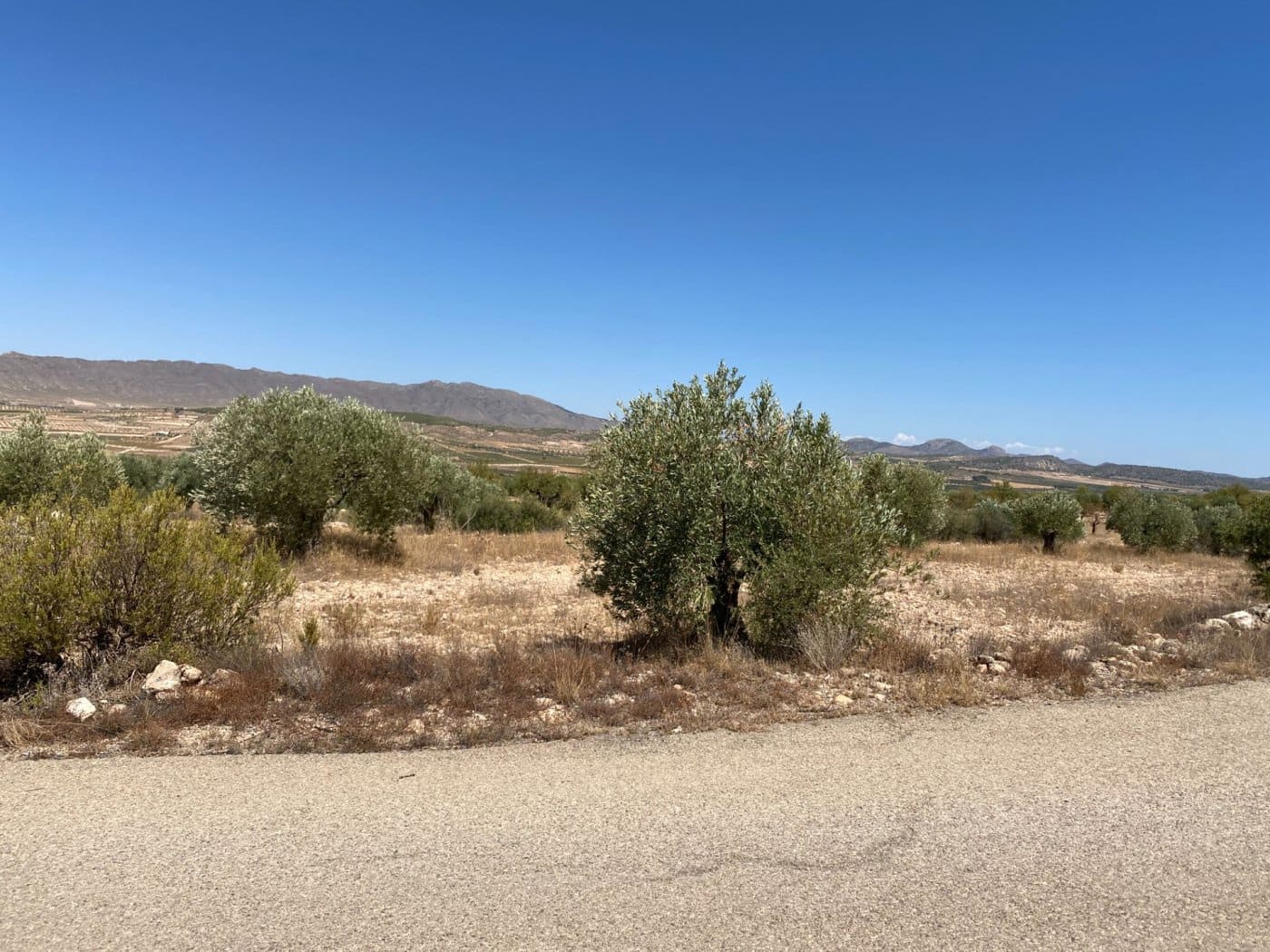 Grunde uden byggetilladelser til salg i Jumilla - € 25.000 (Ref: 9614015)