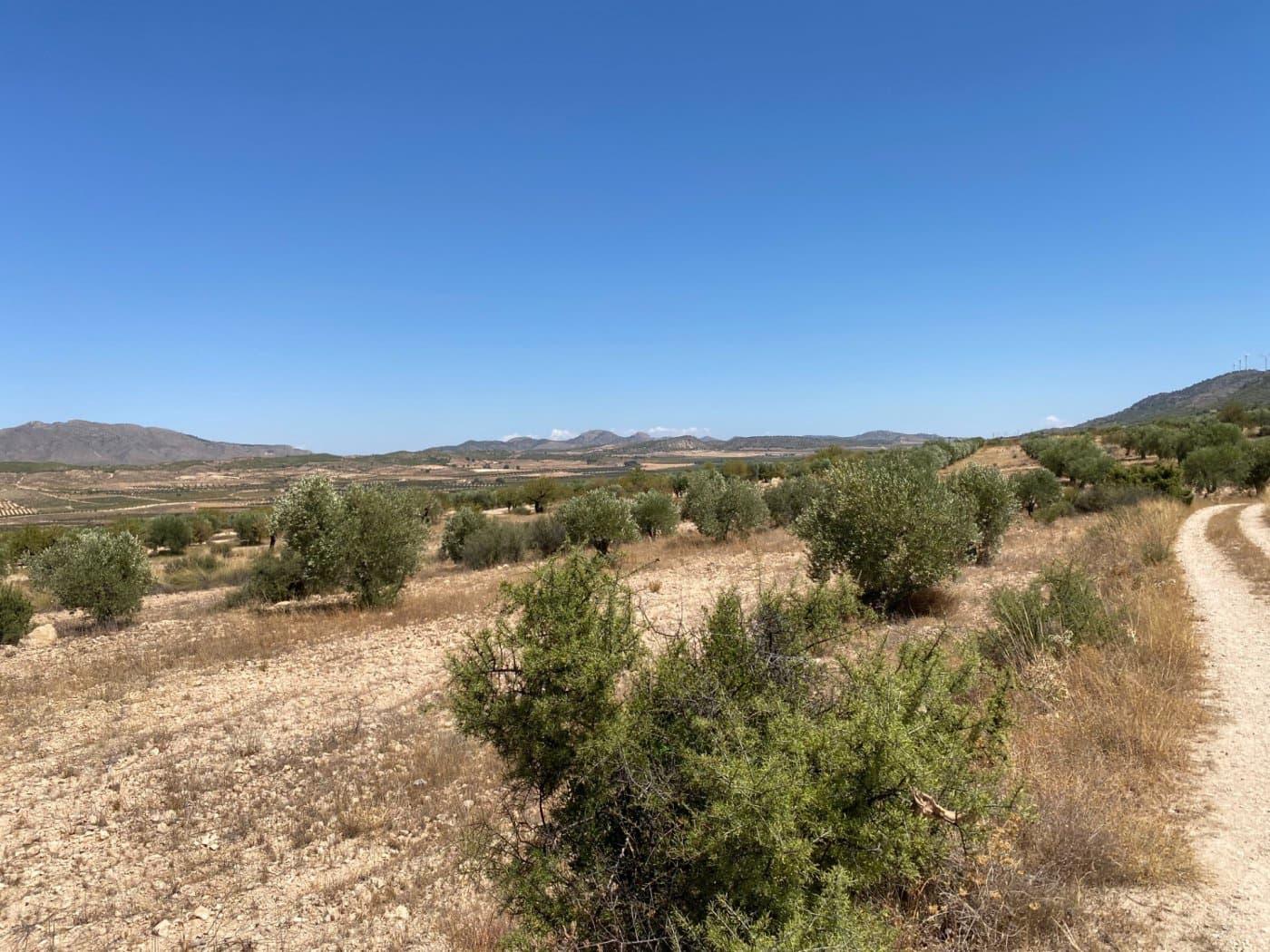 Grunde uden byggetilladelser til salg i Jumilla - € 25.000 (Ref: 9614015)