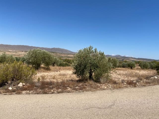 Grunde uden byggetilladelser til salg i Jumilla - € 25.000 (Ref: 9614015)