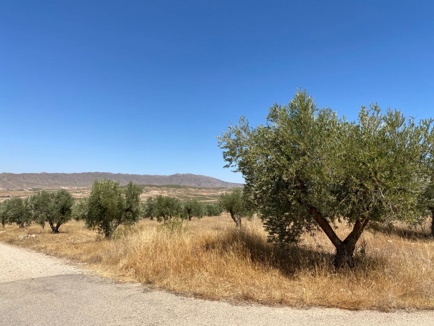 Grunde uden byggetilladelser til salg i Jumilla - € 25.000 (Ref: 9614015)