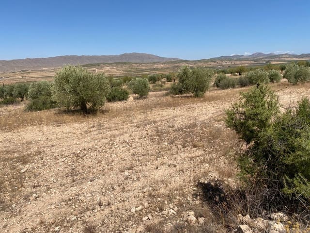 Grunde uden byggetilladelser til salg i Jumilla - € 25.000 (Ref: 9614015)