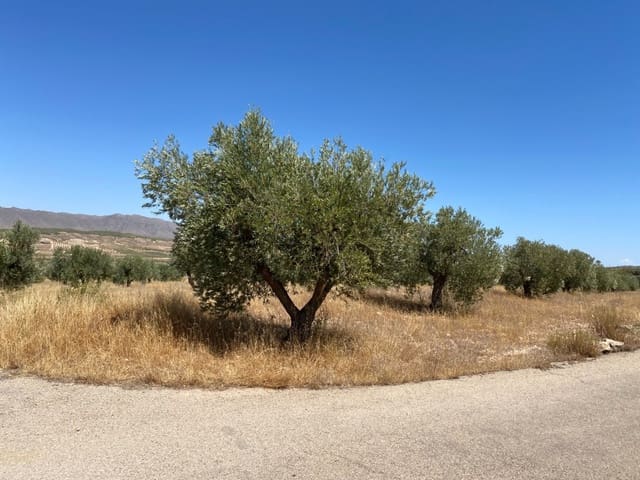 Grunde uden byggetilladelser til salg i Jumilla - € 25.000 (Ref: 9614015)