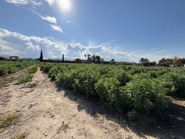 Finca/Casa Rural de 3 habitaciones en Casillas, Murcia ciudad en venta - 160.000 € (Ref: 9614017)