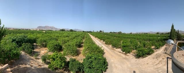 Mark till salu i Albatera - 195 000 € (Ref: 9614019)