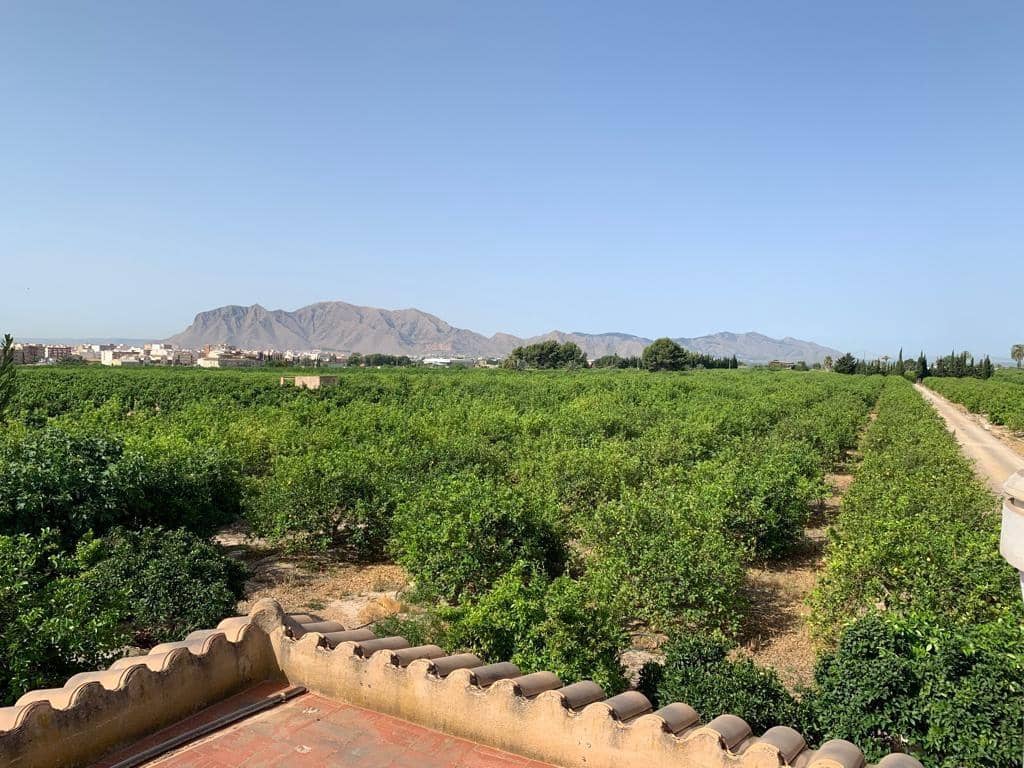 Undeveloped Land for sale in Albatera - € 195,000 (Ref: 9614019)