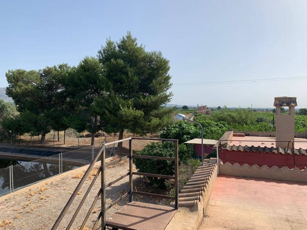 Undeveloped Land for sale in Albatera - € 195,000 (Ref: 9614019)