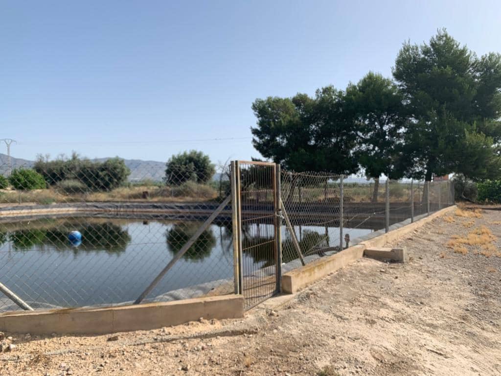 Undeveloped Land for sale in Albatera - € 195,000 (Ref: 9614019)