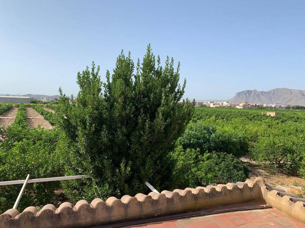 Undeveloped Land for sale in Albatera - € 195,000 (Ref: 9614019)