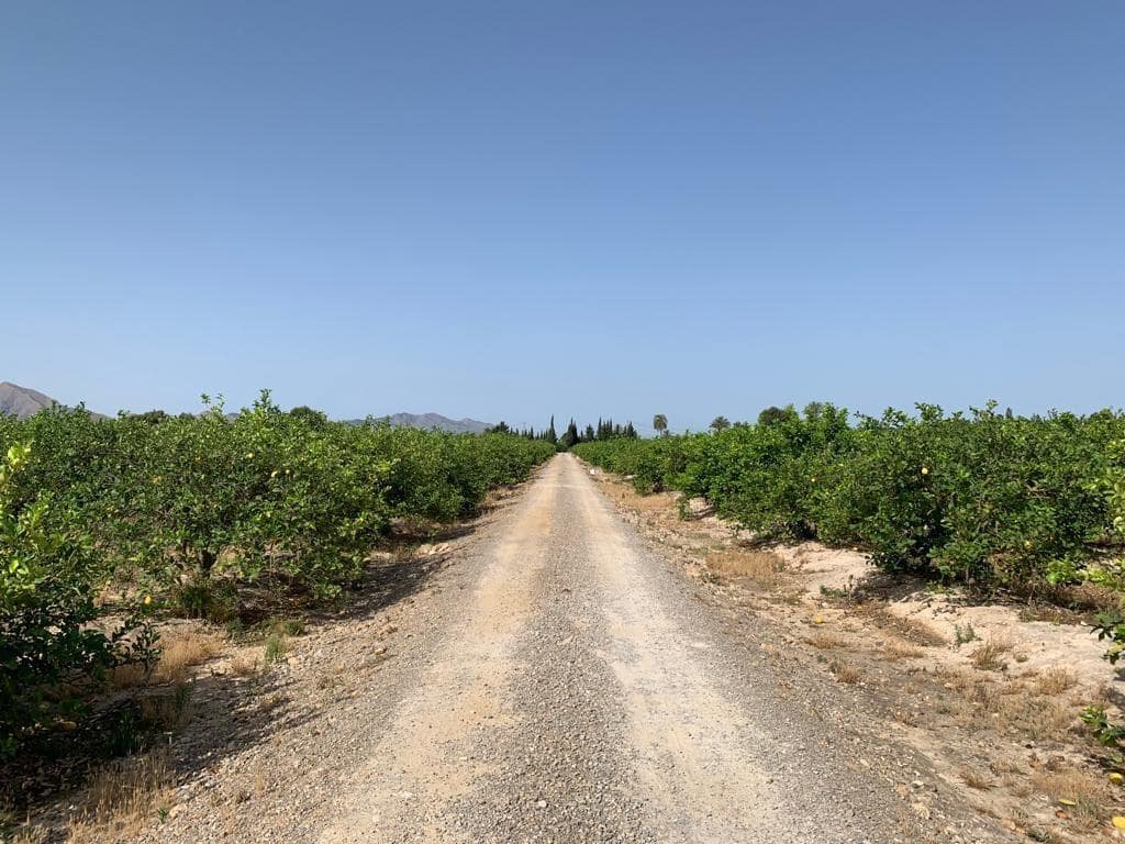 Undeveloped Land for sale in Albatera - € 195,000 (Ref: 9614019)