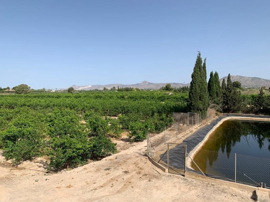 Undeveloped Land for sale in Albatera - € 195,000 (Ref: 9614019)